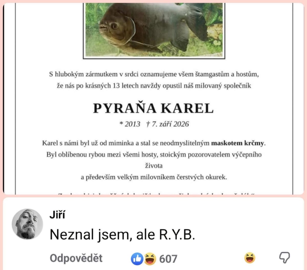 Pamätné oznámenie o úmrtí piraňe Karla, maskota krčmy, obľúbeného pre lásku k čerstvým uhorkám.