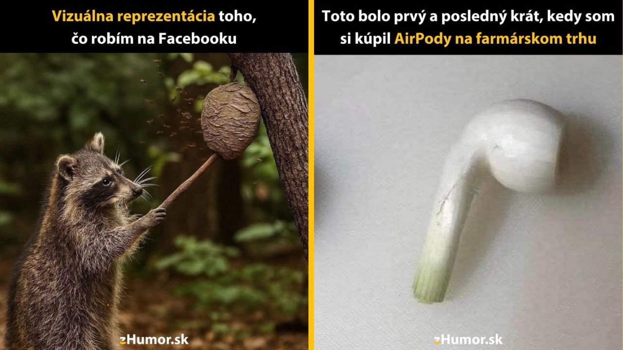 Mýval pichá do osieho hniezda s textom vtipu a cesnak pripomínajúci slúchadlo ako žart o AirPods z trhoviska.