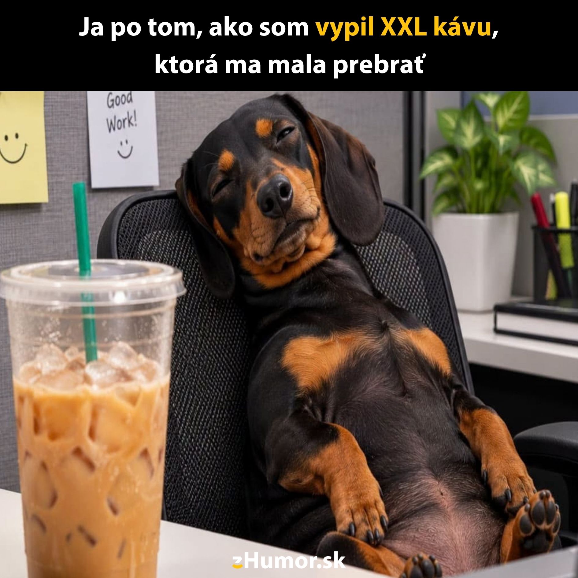 Pes spí na kancelárskej stoličke vedľa veľkého pohára ľadovej kávy.