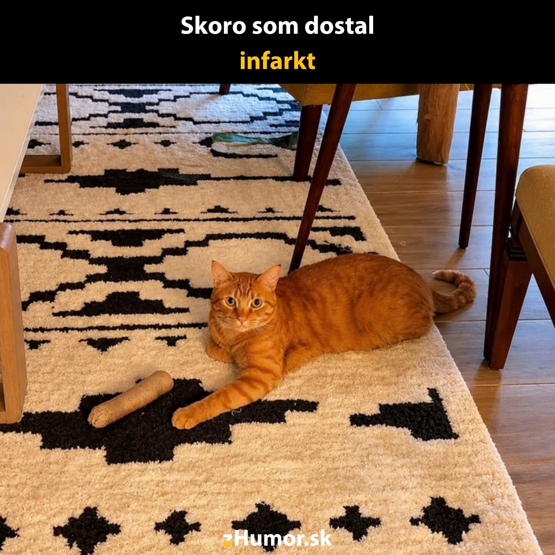 Oranžová mačka na kobereci s vtipným popisom a hračkou pripomínajúcou klobásu.