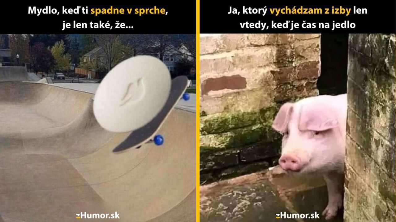 Mydlo v sprche padá ako skateboardista, prasa vychádza z domu len na jedlo. Zábavné porovnanie každodenných situácií.